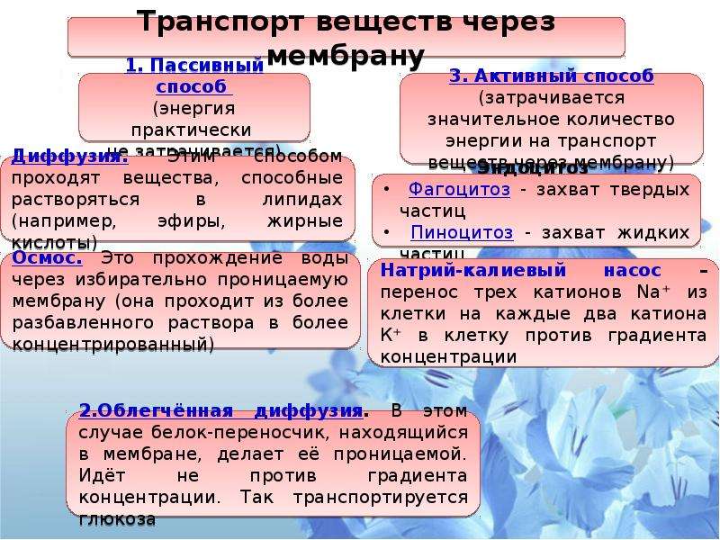 Укажите соответствие между видом транспорта веществ. Активный и пассивный транспорт через мембрану. Активный и пассивный транспорт веществ через клеточные мембраны. Транспорт веществ через клеточную мембрану таблица. Пассивный транспорт веществ через клеточную мембрану.