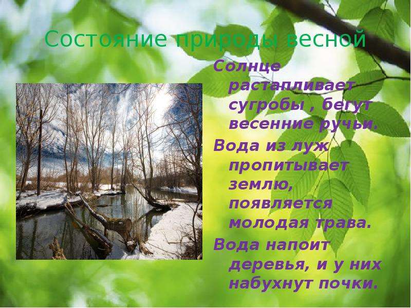 Первый месяц весны древнерусский. Доклад о весне. Март протальник первый месяц весны. Признаки весны. Признаки весны презентация.