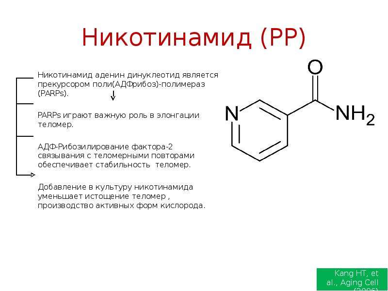 Схема применения никотиновой кислоты