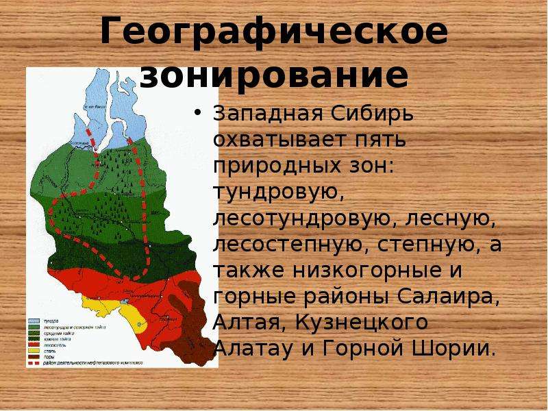 Природные районы западной сибири. Западная Сибирь презентация. Природн зоны Западной Сибири. Природные зоны Кузбасса. Географическое положение Западной Сибири.