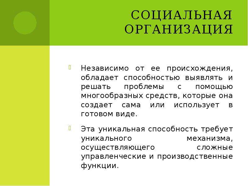 Презентация  Функционирование социальной организации, слайд №15
