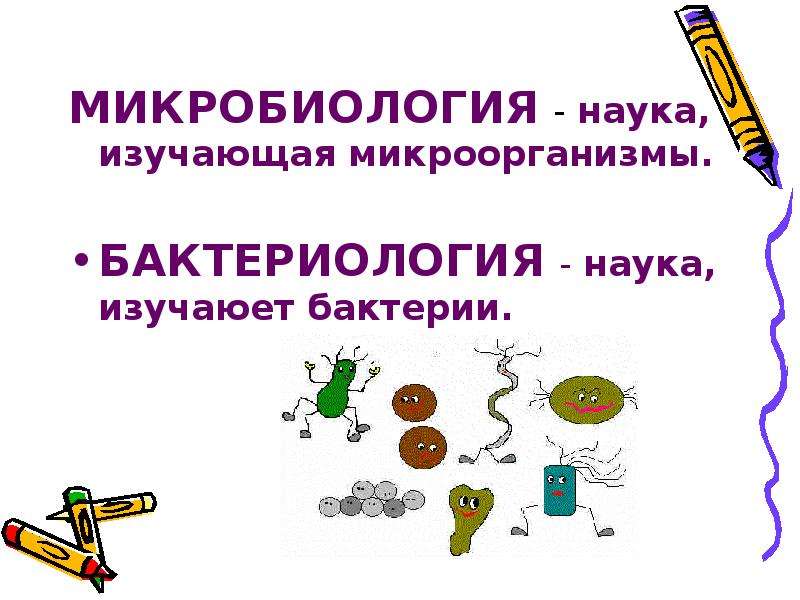 Наука изучающая микроорганизмы. Что изучает бактериология. Какая наука изучает бактерии. Изучаешь микробиологию Мем.