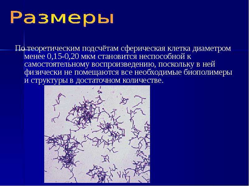 Морфология и систематика микроорганизмов презентация