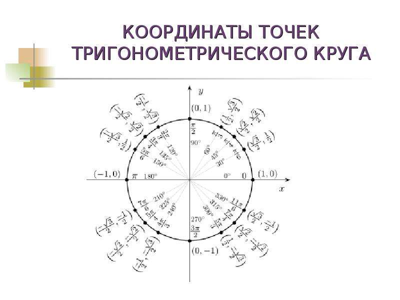 Поворот точки вокруг начала координат 10 класс презентация алимов