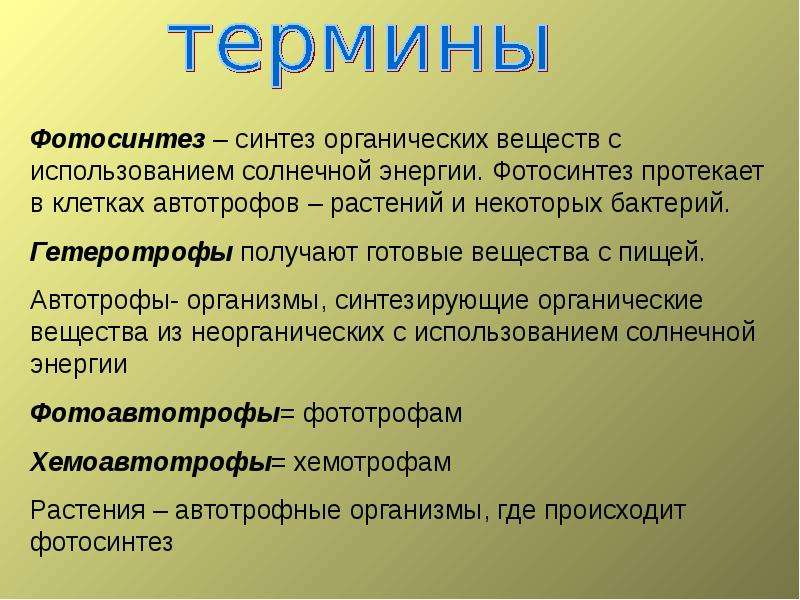 Понятия по биологии 5 класс. Термины по биологии 5 класс. Биология 5 класс основные понятия и термины по темам. Основные термины по биологии 5 класс с определениями.