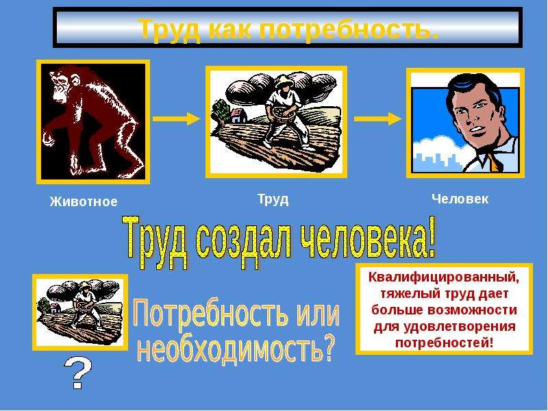 Животные потребности человека. Труд как потребность. Потребность человека в труде. Человек и его потребности. Потребность в труде пример.