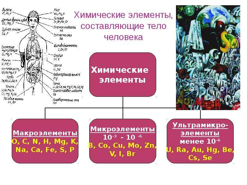 Значение химических элементов. Химические элементы в организме человека. Химические вещества в организме человека таблица. Элементы в теле человека. Химические элементы содержащиеся в организме человека.