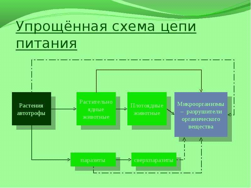 Цепи питания схемы