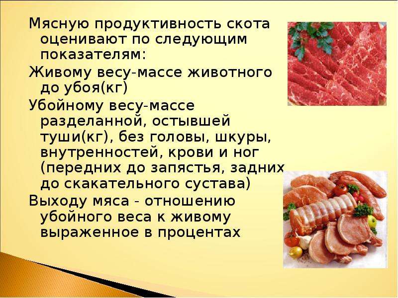 Продуктивности мяса