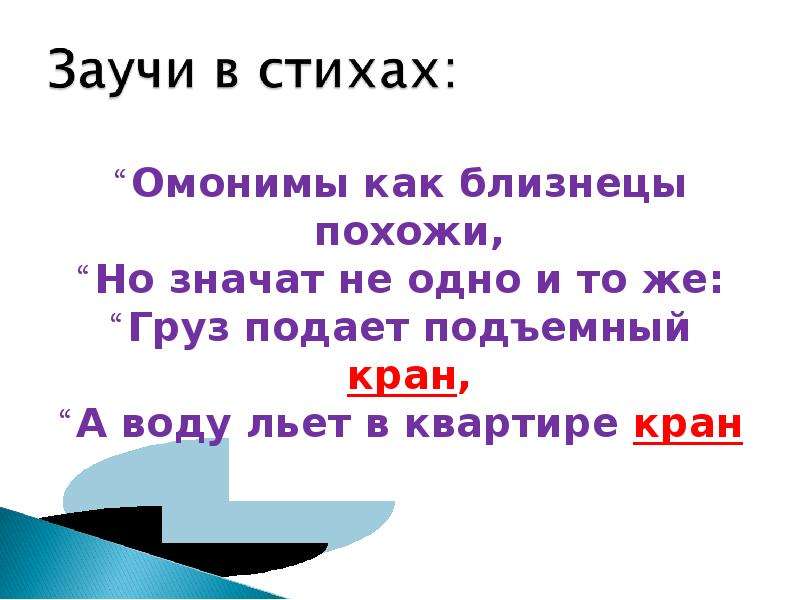 Слово близнец. Слово презентация. Слова Близнецы. Омонимы Близнецы. Слова Близнецы омонимы.