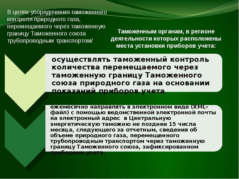 Особенности таможенного декларирования товаров перемещаемых трубопроводным транспортом презентация