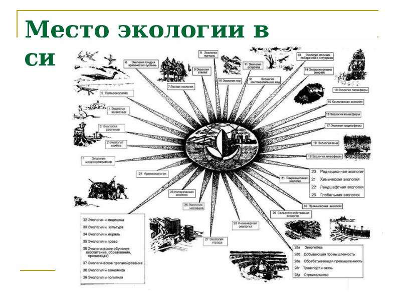 Схема взаимосвязь экологии с другими науками