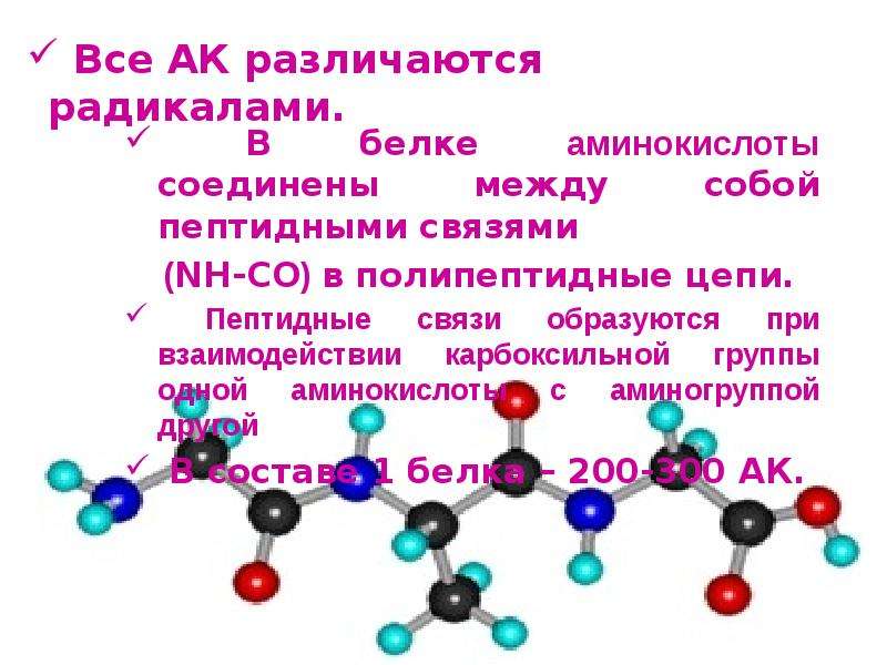 Аминокислоты белки презентация