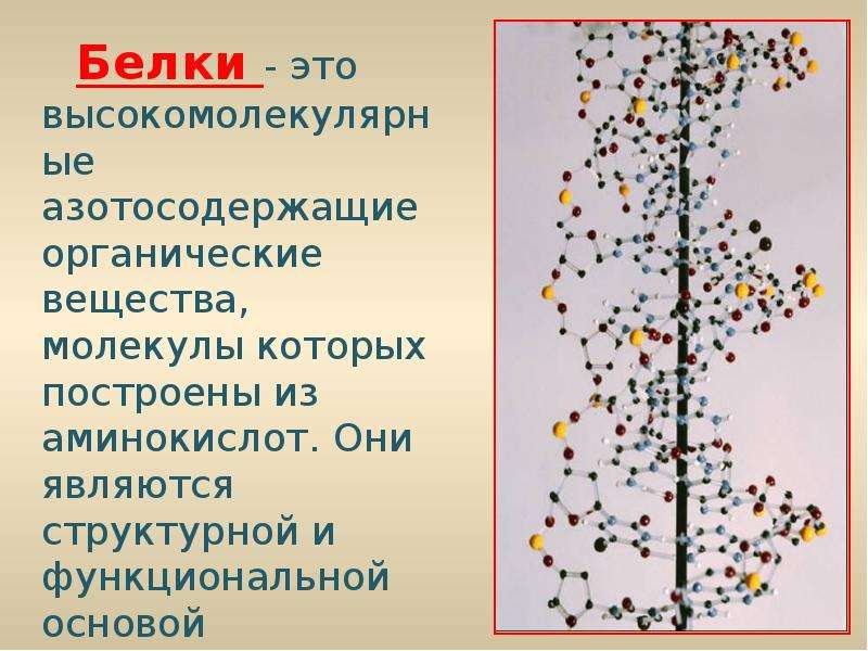 Азотосодержащие органические соединения презентация