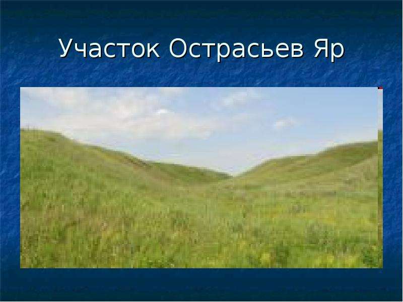 Особо охраняемые природные территории белгородской области презентация