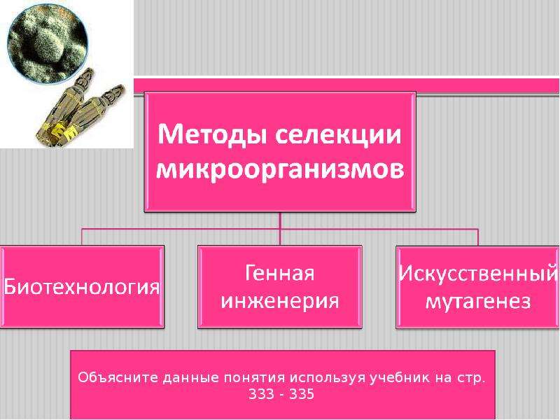 Методы селекции растений 11 класс презентация