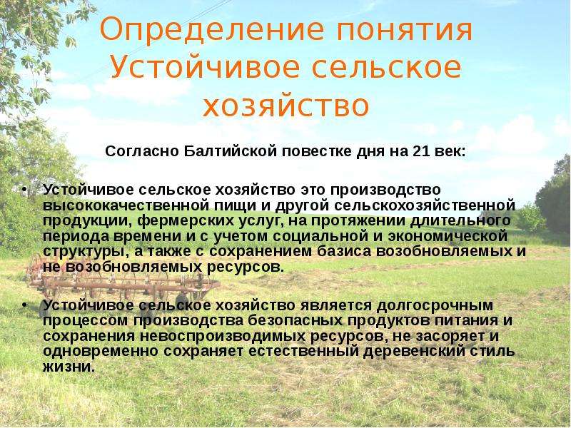 Определение сельскохозяйственная продукция