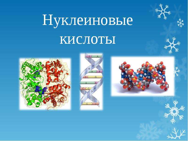 Вирусы нуклеиновые кислоты. Нуклеиновые кислоты. Нуклеиновые кислоты фото. Нуклеиновые кислоты картинки для презентации. Биополимеры нуклеиновые кислоты.