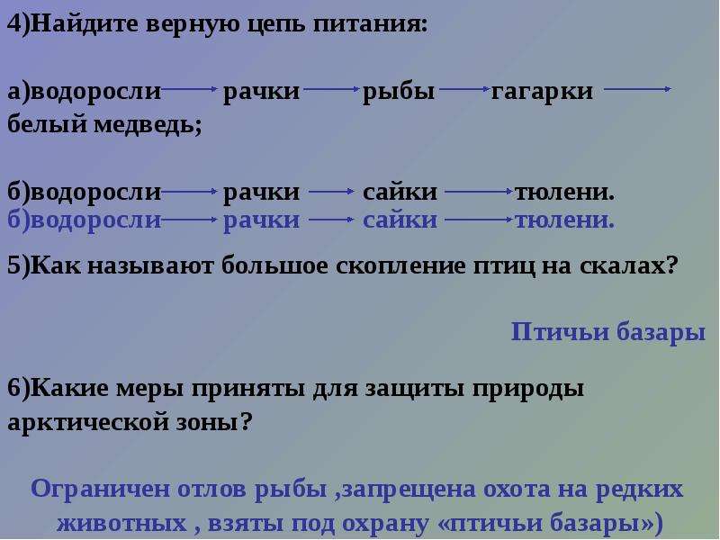 Верные цепочки. Цепь питания водоросли. Цепь питания водоросли рачки рыбы. Водоросли рачки рыбы гагарки белый медведь. Цепь питания водоросли рачки рыбы гагарки белый медведь.