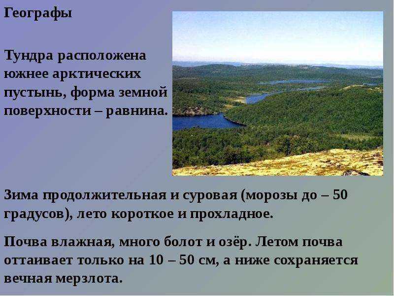 Тундра пересказ 4 класс. Тундра презентация. Доклад о тундре. Проект тундра. Презентация по теме тундра.