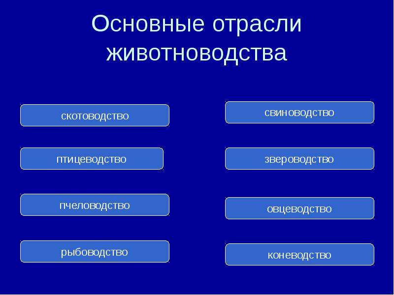 Основными отраслями называются. Основные отрасли животноводства. Отрасли животноводства схема. Перечислите отрасли животноводства. Отраслижовотноводства.