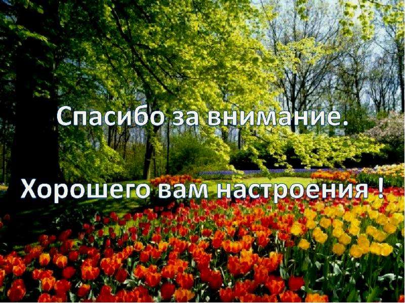 Внимание отличный. Спасибо за внимание хорошего настроения. Спасибо за внимание хорошего дня. Спасибо за внимание Весеннее. Спасибо за внимание всем хорошего настроения.