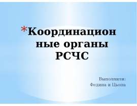 Координационные органы РСЧС Выполнили: Федина и Цьопа