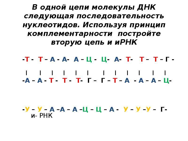 А т ц г рнк. Цепочка ДНК А-Ц-Г-Т-А-Г-Ц-Т-А-Г вторая цепь. Порядок нуклеотидов ДНК принцип комплементарности. РНК комплементарность принцип комплементарности. Комплементарность ДНК И РНК.