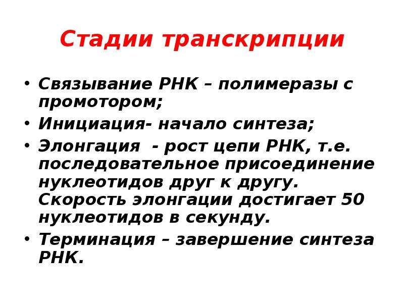 Этапы транскрипции. Стадии транскрипции. Основные этапы транскрипции. Транскрипция биология этапы. Стадии транскрипции РНК.