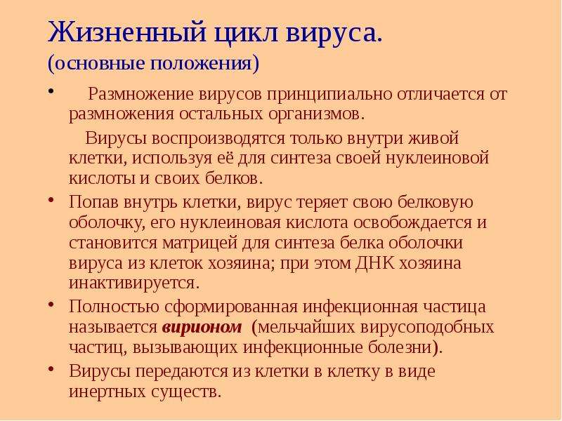 Жизненный цикл вируса. Жизненный цикл вируса в компьютере. Жизненный цикл вируса Информатика. Вопросы по теме вирусы. Критерии оценки размножения вируса в организме животных:.