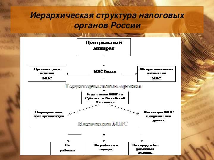 


Иерархическая структура налоговых органов России
