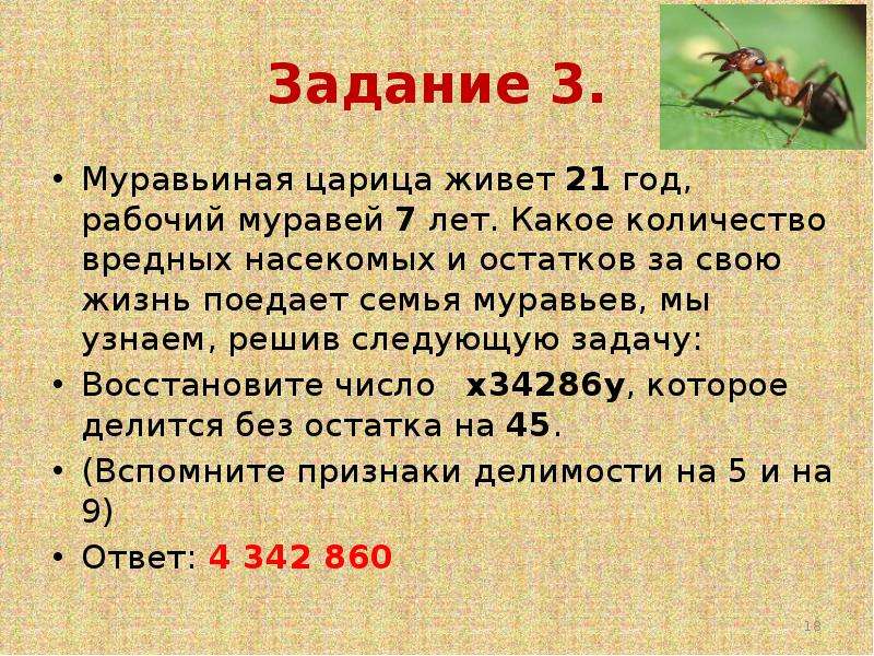 Сколько лета живут. Сколько живут муравьи. Продолжительность жизни муравья. Продолжительность жизни муравьёв. Сколько лет живут муравьи.