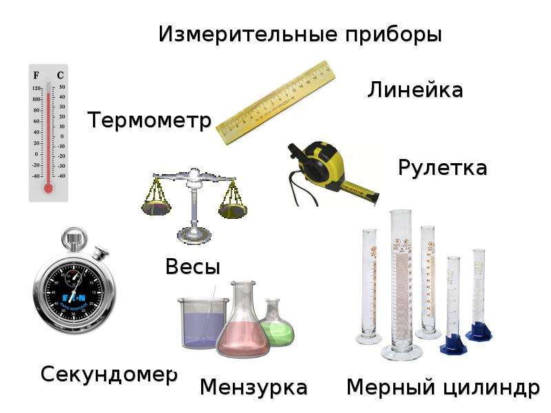 5 класс методы исследования в биологии презентация