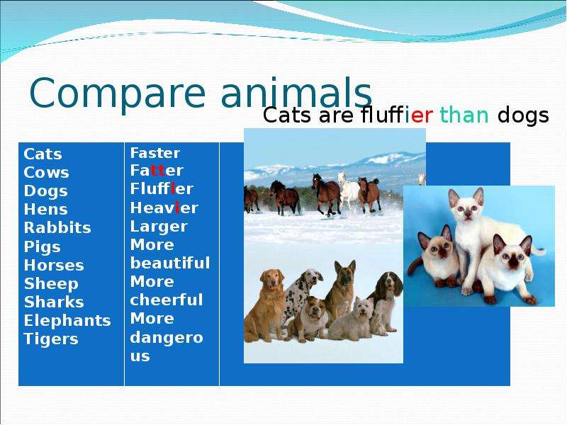 Compare animals. Comparing animals. Compare animlas. Animals Comparison.