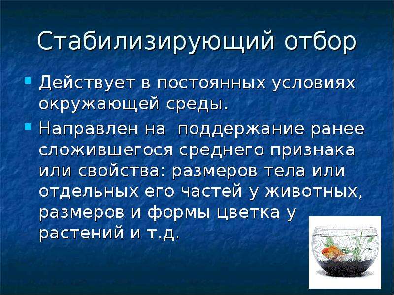 В постоянных условиях среды естественный отбор сохраняет