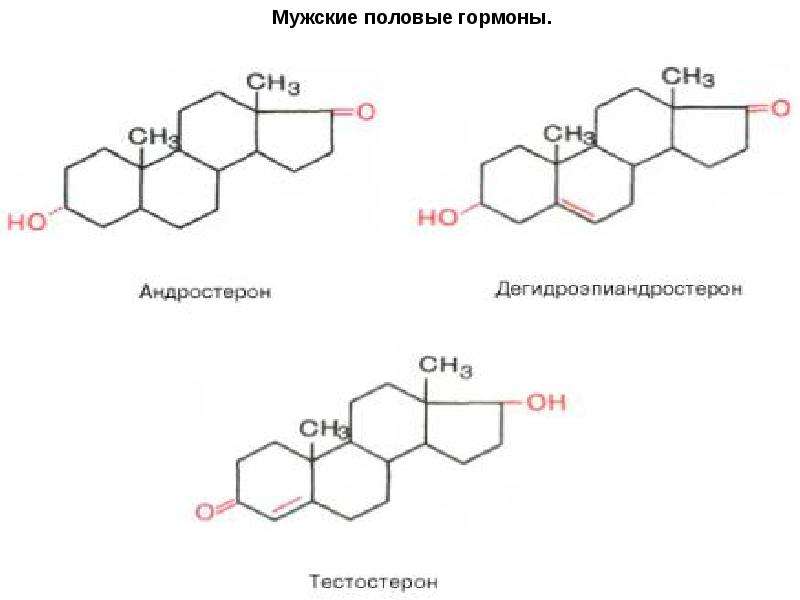 Тестостерон презентация по химии