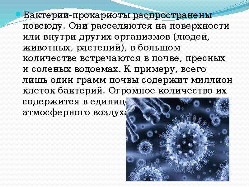 Среди бактерий встречаются. Бактерии живут повсюду 3 класс. Где встречаются бактерии. Где распространяются бактерии. Время жизни микроорганизмов на поверхности.