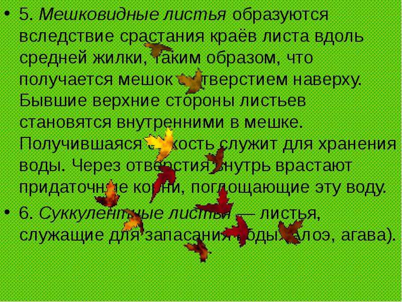 Вдоль листа. • Мешковидные листья образуются. Видоизменения листьев кроссворд. Как получается вдоль листа.