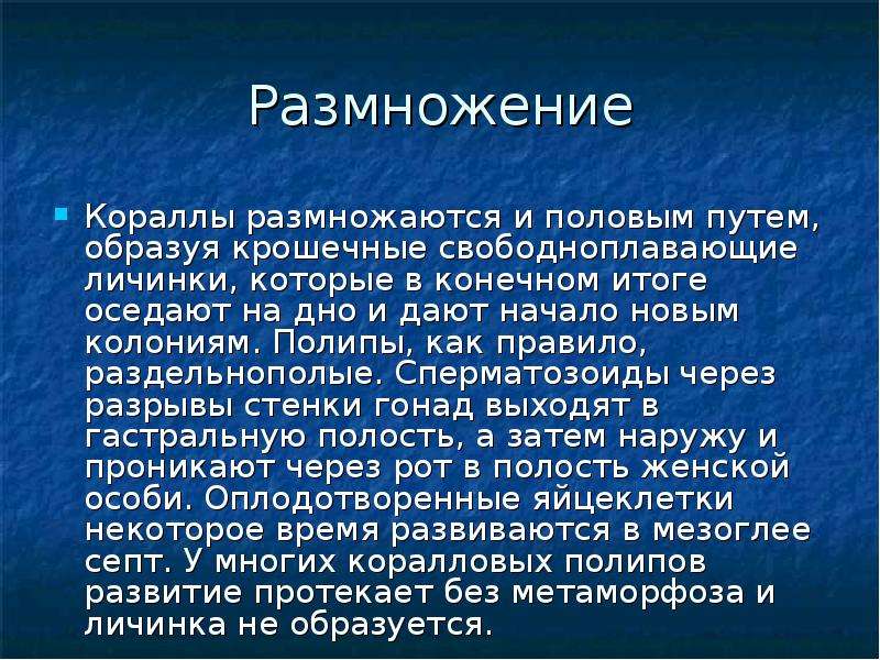 Презентация о коралловых полипах