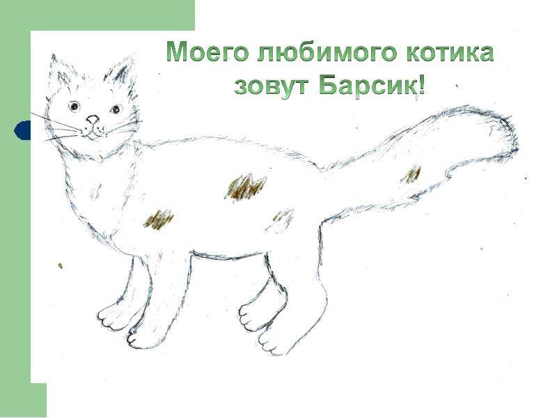 Рисунок кота 1 класс окружающий мир