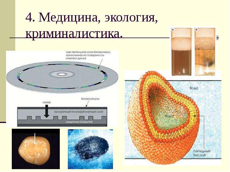 Химия в криминалистике презентация