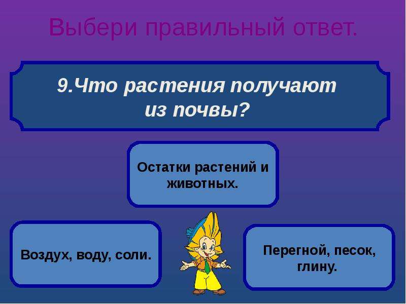 Образование 2 вариант. Что получают растения. Что растения получают из почвы ответ. Что растения получают из почвы 3. Что растения получают из почвы 3 класс ответы.