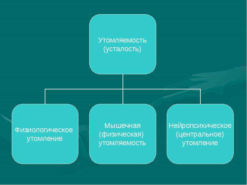 Обеспечение высокого уровня. Основные направления селекции. Селекция основные методы и достижения. Основные направления современной селекции. Достижения селекции.