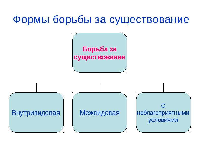 Представьте в виде схемы формы борьбы за существование