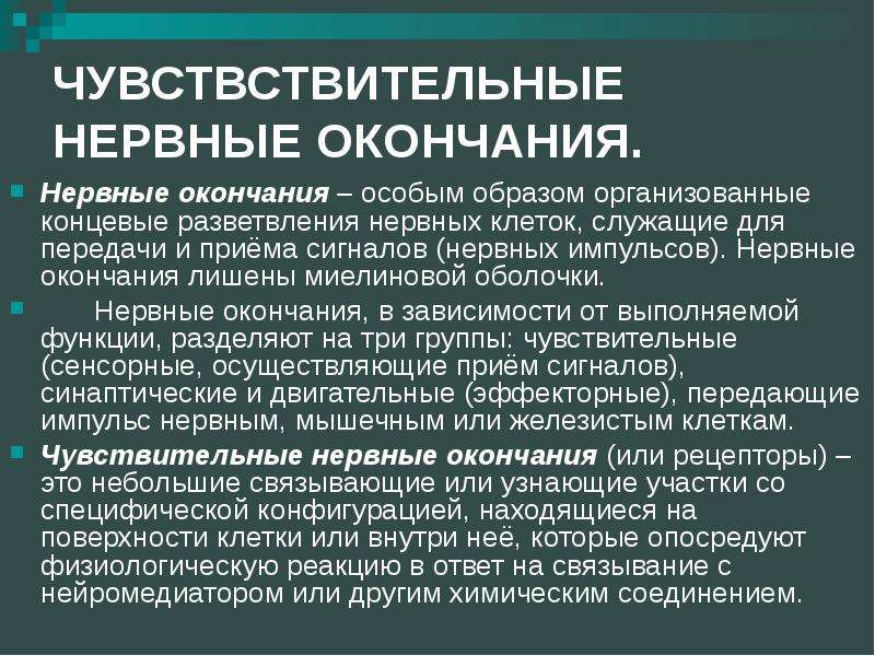 Специальным образом организованная. Миелинизация нервных окончаний. Нервные окончания по функции подразделяют на. Нервные окончания концевые. Нервные окончания лечение.