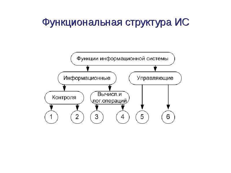 Функциональная структура проекта внедряемой информационной системы