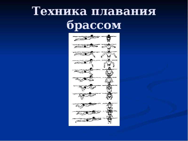 Брасс плавание техника видео. Техника плавания брассом. Техники плавания брассом. Средняя скорость плавания брассом. Логотип брасс.