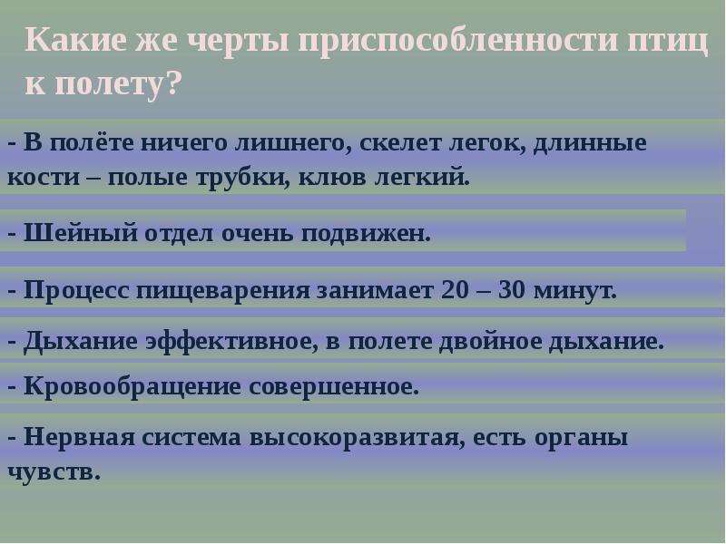 Черты приспособления. Черты приспособленности к полету. Черты приспособленности птиц к полету. Черты приспособления птиц. Черты приспособления птиц к полету.