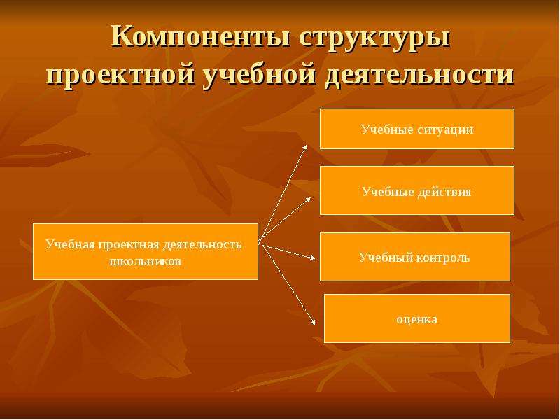 Структурные элементы частной методики. Компоненты учебной ситуации. Компоненты структуры учебной деятельности. Компоненты структуры образовательной ситуации. Компоненты структуры проектирования.
