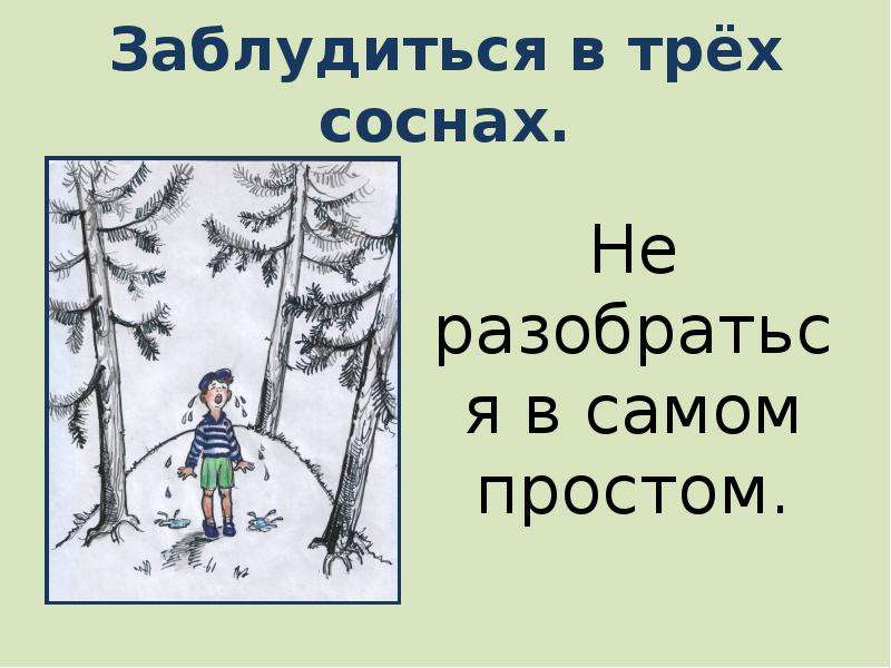 Лес фразеологизм. Заблудиться в 3 соснах фразеологизм. Фразеологизм заблудиться в трех соснах. Заблудиться в 3 соснах. Заблудиться в трех соснах значение.